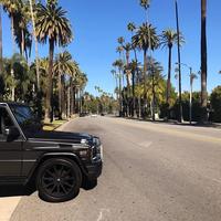 Отзыв от Евгений - виза ДТВ